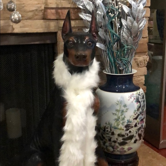 Meet your Posher, Wayne - Picture 1 of 1